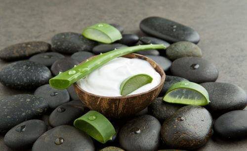 Aloe vera og kokos er godt for dit hår