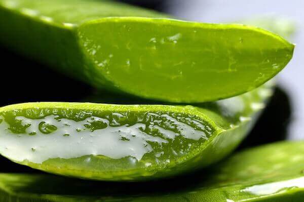Aloe vera blade, et af de mest populære naturlige remedier mod neglepsoriasis