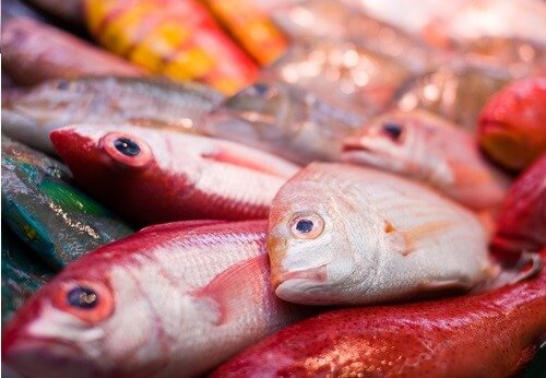 fisk med kviksølv