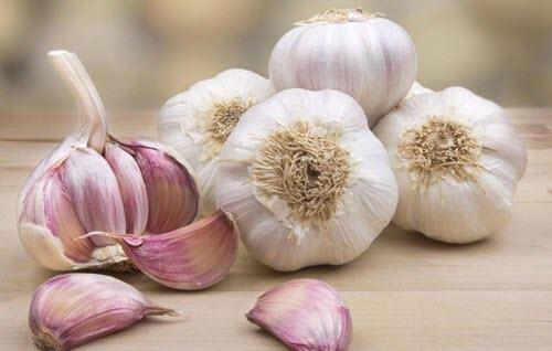 Hvidløg virker naturligt afstødende på flåter