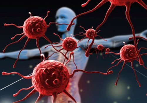 immunsystemet