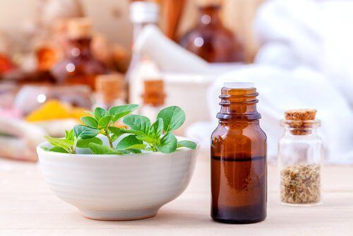 Oregano æteriske olier.