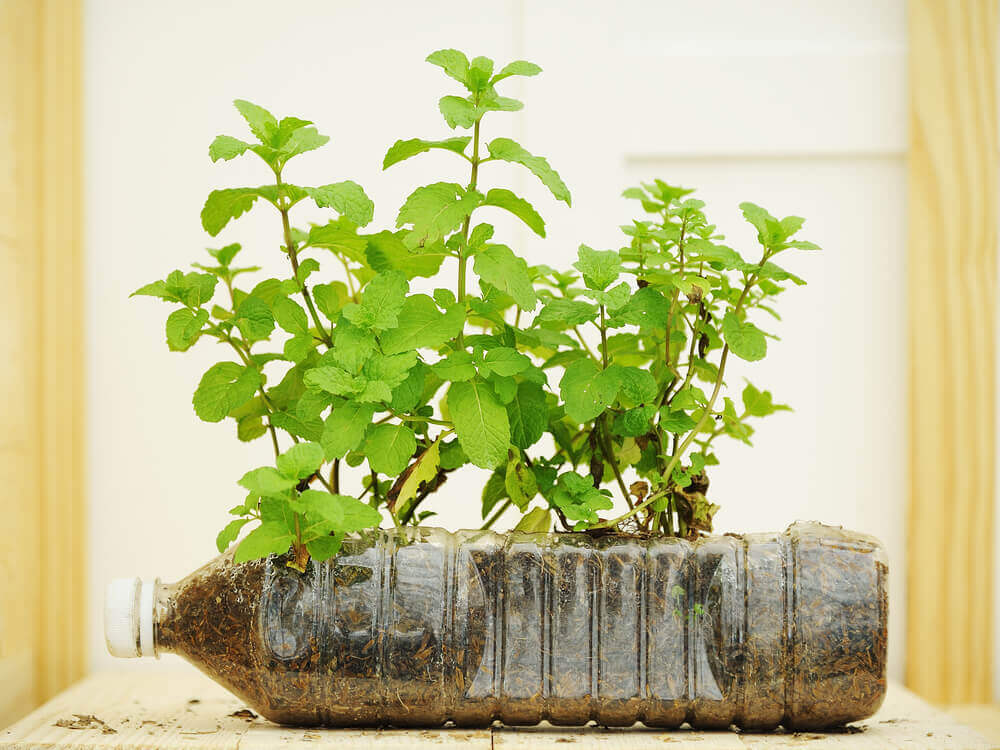 Du kan lave potter af plastflasker.