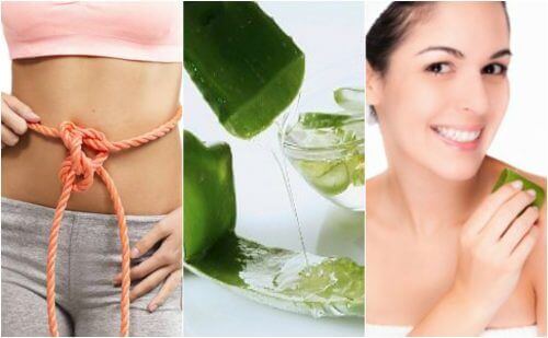 Aloe vera gel gavner kroppen: 9 utrolige egenskaber