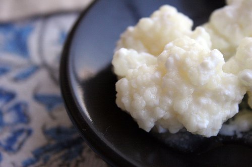 Opskrift på sund kokosvand kefir