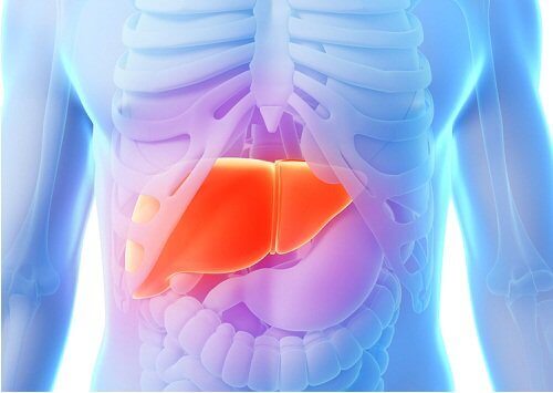 artiskok-diæten fordele for leveren