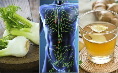 6 naturlige midler, der kan rense dit lymfesystem