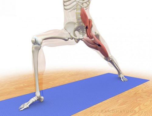 Træning af psoas major er en vigtig del af mange yogaøvelser