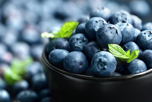 Blåbær er rige på antioxidanter og fibre