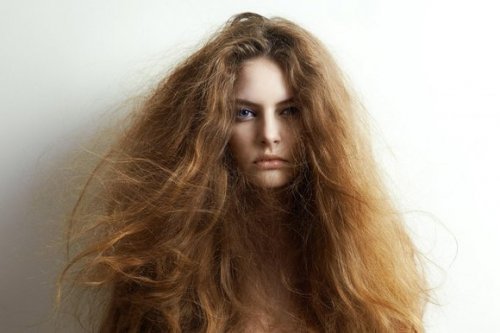 5 naturlige ingredienser til behandling af tørt hår