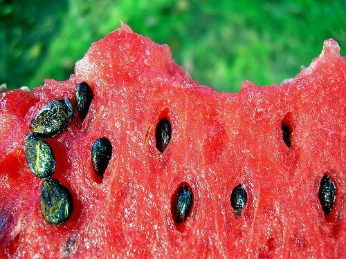 Lav en infusion af vandmelonkerner med masser af gode egenskaber