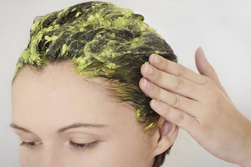 avokado haar