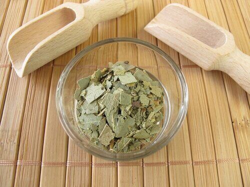 Eukalyptus er et traditionelt middel til behandling af ondt i halsen