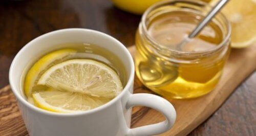 Citron øger honningens antibiotiske virkninger
