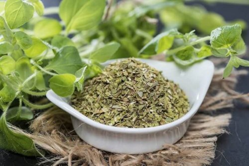 Oregano reducerer væksten af bakterier