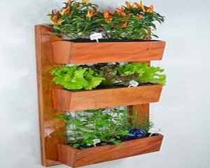 Lær at lave en hængende have