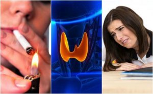 Skjoldbruskkirtlen påvirkes negativt af disse 7 vaner