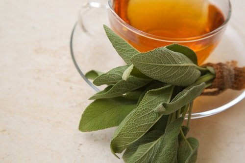 Salvie har antiinflammatoriske egenskaber og er derfor godt til at behandle halsbetændelse