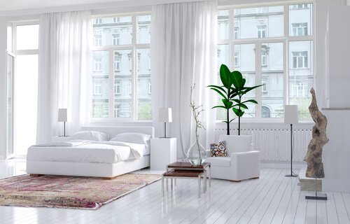 Stueplanter kan reducere støv i hjemmet med op til 20%. Dette er en af de mange fordele ved panter i hjemmet