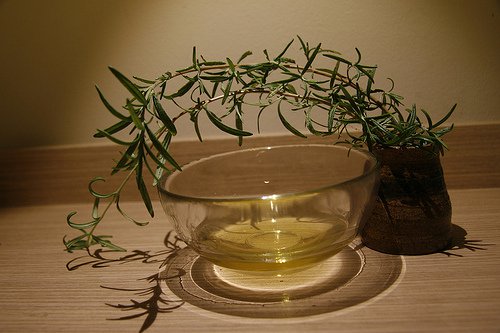 Blandt de mange essentielle olier finder vi også tea-tree