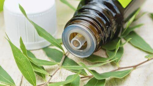Lindre symptomer på bakteriel vaginose med tea tree oil