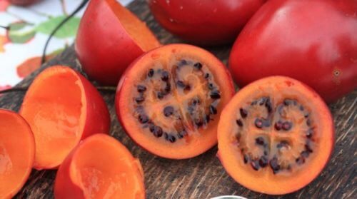 Trætomater ligner tomater i udseende, men er sødere