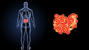Lyskebrok: Årsag og behandling