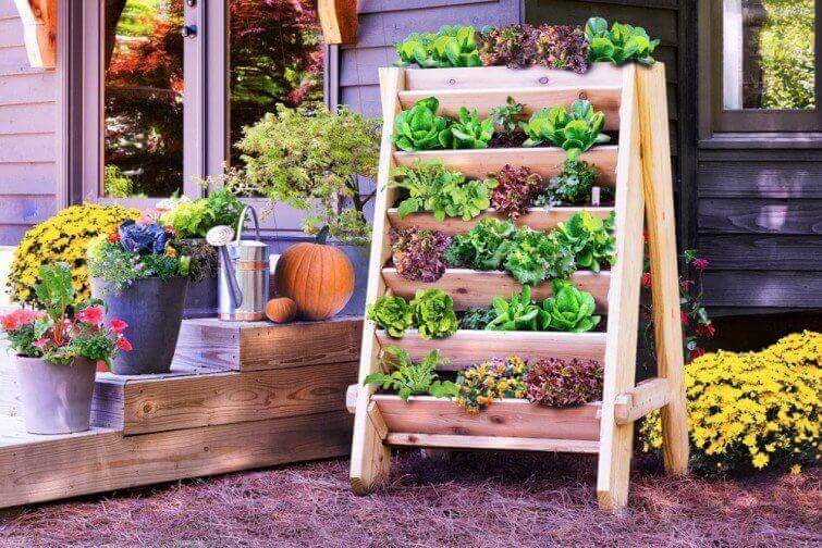 Planter og blomster