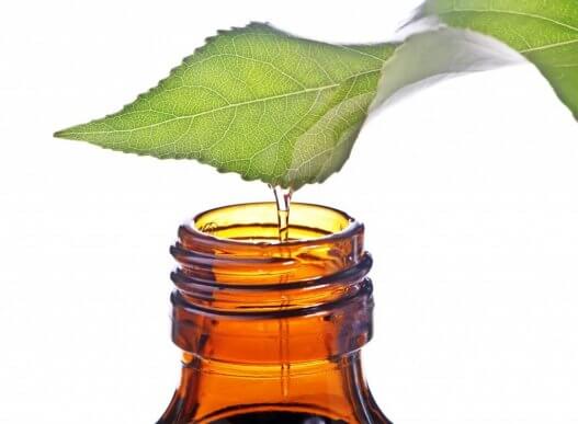 Pebermynteolie er et eksempel på olier til tilstoppet næse