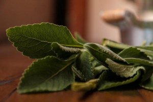 Hjælp din lever med en simpel boldokur