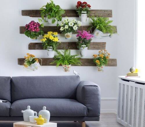 planter-ren-luft-dekoration