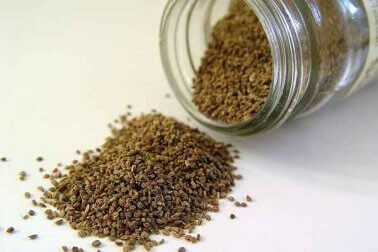 sellerifroe-knust-bladtryk