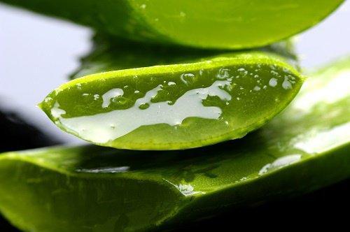 Top 5 sundhedsmæssige fordele ved aloe vera