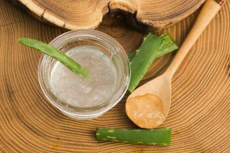 Aloe vera: en af de fem naturlige remedier til at behandle psoriasis topisk
