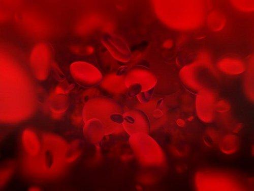 Blodceller symboliserer hæmofili
