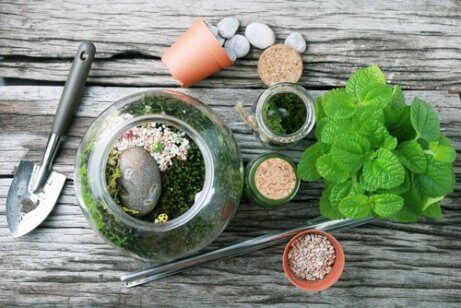 terrarium ved at genbruge glasflasker