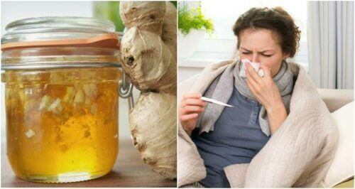 Bekæmp forkølelser med honning og ingefærsirup