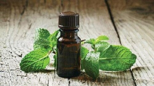 Man kan behandle tandbylder med hjemmemidler med pebermynteolie