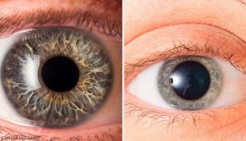 Du kan også holde øje med personens pupiller, for at forsøge at afgøre om vedkommende lyver