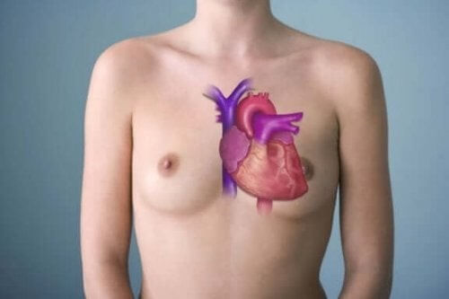 Et sundt hjerte tegnet på menneskes krop
