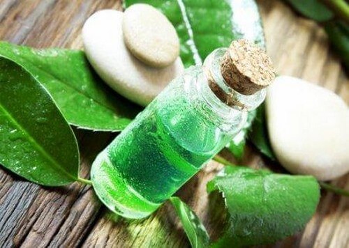 Tea tree-olie kan bruges til at behandle tandbylder med hjemmemidler