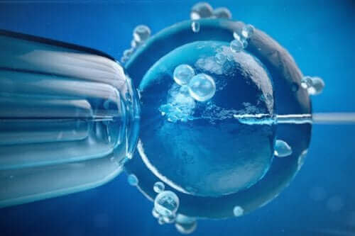 Lægerne vælger de bedste fostre