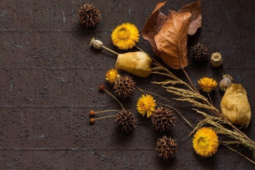 Tørrede blomster passer perfekt til et efterårsbryllup