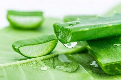 Aloe vera til at blege mørke pletter på huden