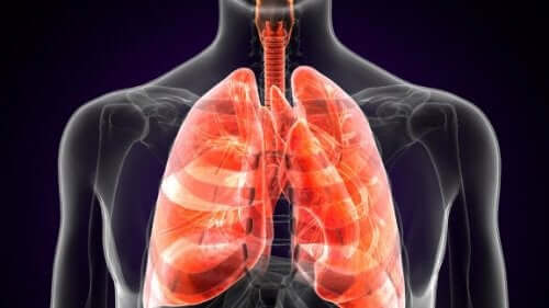 Lungepest: Hvad er det helt præcist?