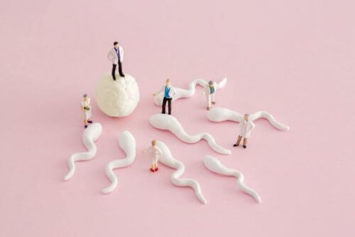 Sperm svømmer i mål