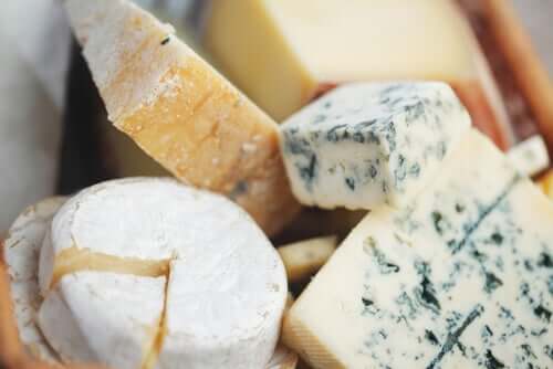Forskellige typer af oste