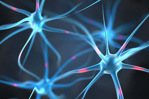Neuroner i hjerne