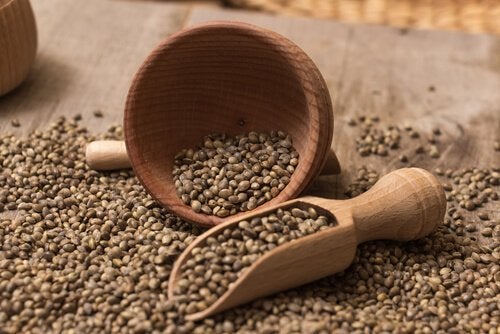 Hampefrø er rige på sunde fedtsyrer, proteiner af høj kvalitet og essentielle mikronæringsstoffer