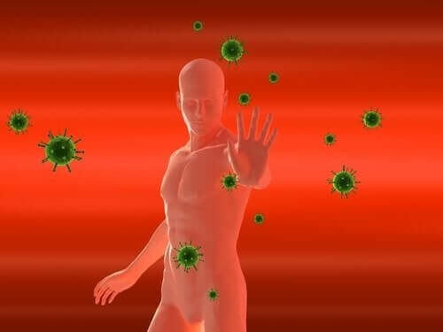 Immunforsvar, der bekæmper en influenza 